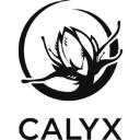 Calyx Wellness Yorkville logo